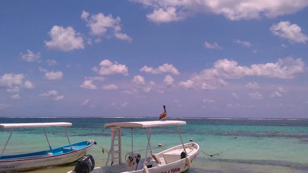 فندق بلايا ديل كارمنفي  Playa Centro المكسيك