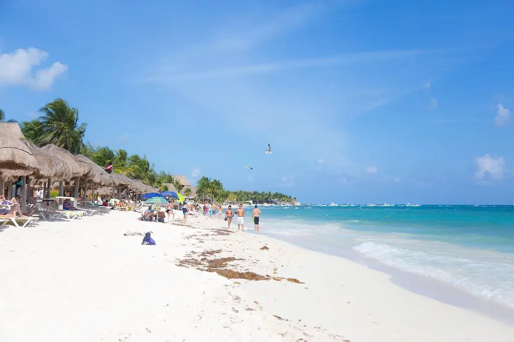 Guest house Playa Centro Hotel Playa del Carmen Mexico